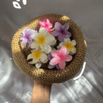 کلیپس پلومریا