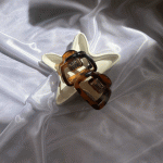 کلیپس میومیو