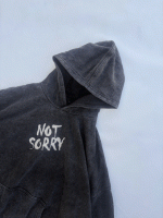 هودی سنگشورnot sorry - Image 2